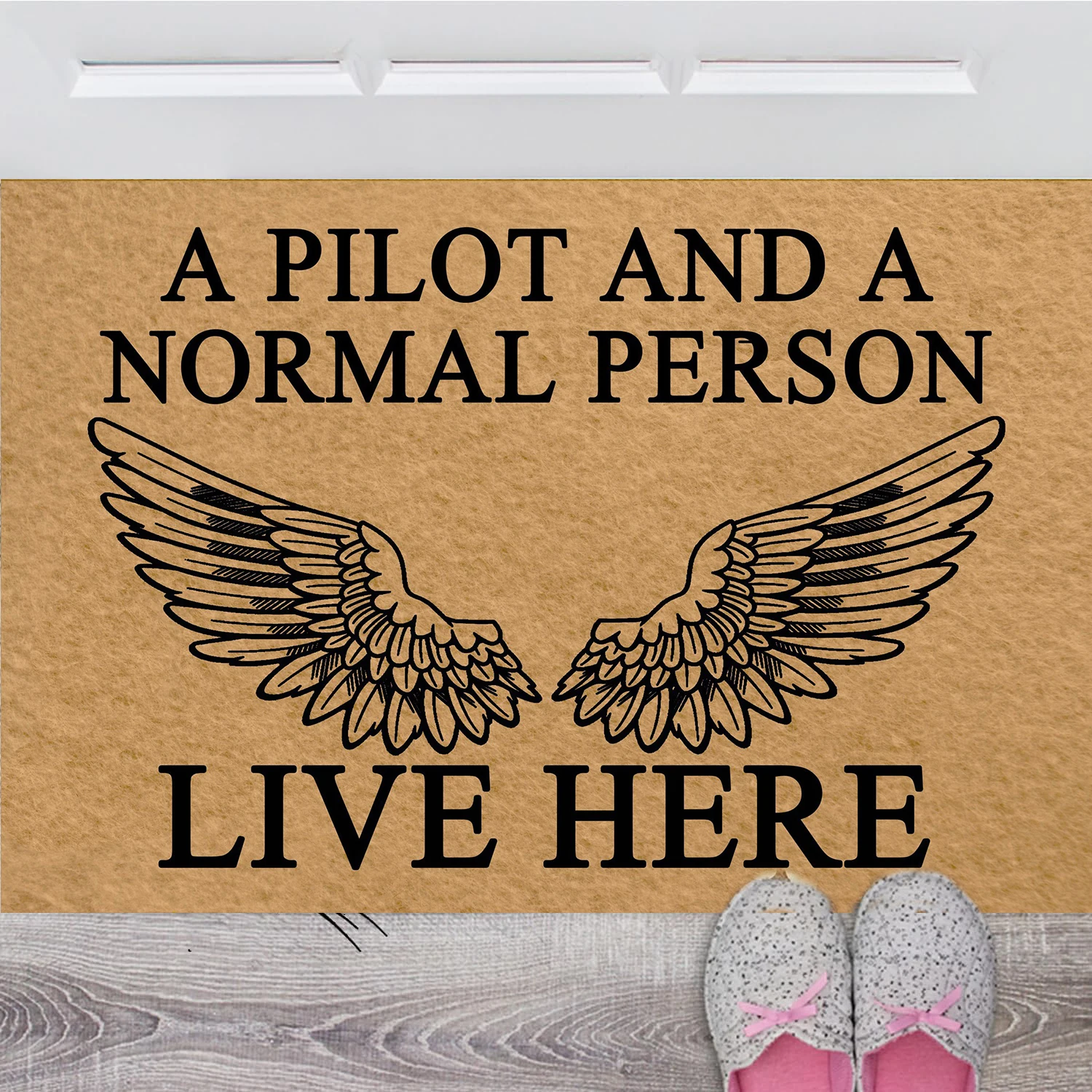 Rubber Non-Slip Entryway Rug for Entrance, Funny Foot Door Mat, A Pilot And A Normal Person Live Here Doormat,18x30