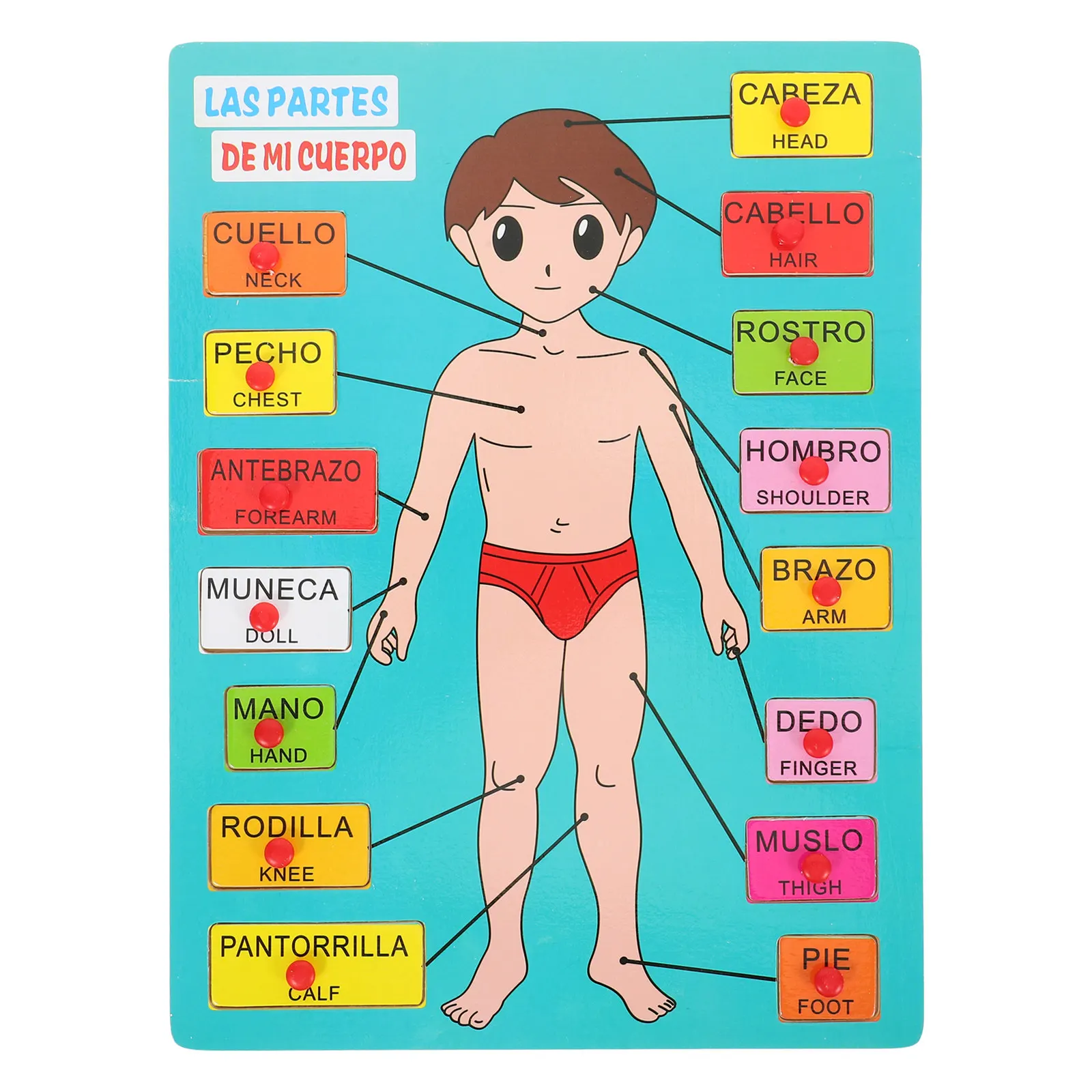 

1Set Spanish Wooden Human Body Puzzle Educational Board Early Learning Cognitive Teaching Aid for Children Body Parts