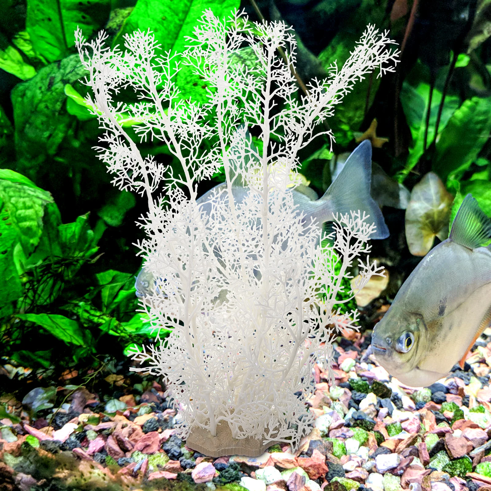 

2Pcs Safe Premium Plastic Aquarium Plants for Betta Fish Tank Decorations Easy to Maintain Natural Environment