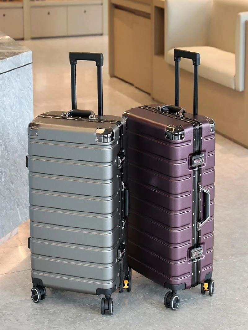 valise-a-roulettes-grande-capacite-nouvelle-collection-2025-pour-hommes-et-femmes-avec-serrure-a-combinaison-tendance-mode-jeune-public