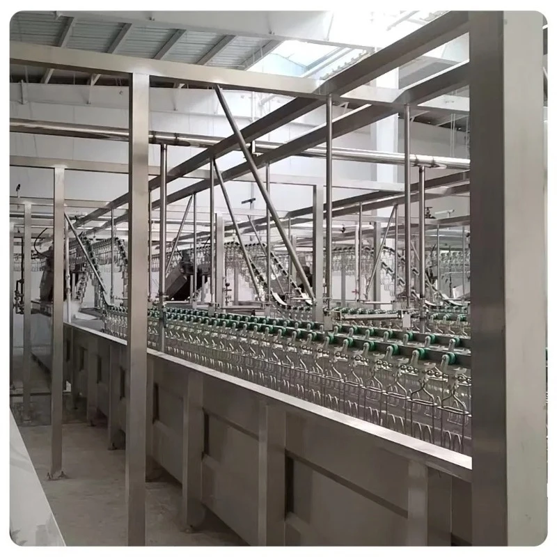 Ligne d'abattage de volailles innovante pour les solutions de transformation avicole