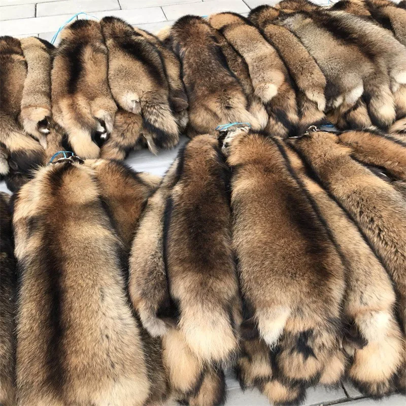 Factory proce High quality natural raccoon fur skin wholesale