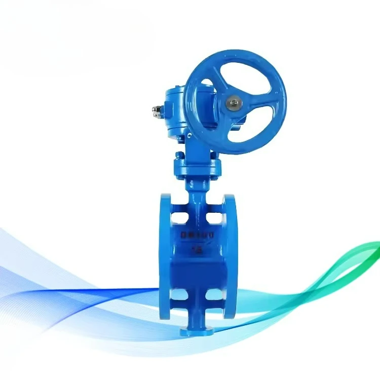 

Manual Worm Gear Rigidity Seal Butterfly Valve DN100 PN16 Cast Steel for Water Media Double Eccentric Design 1 Year
