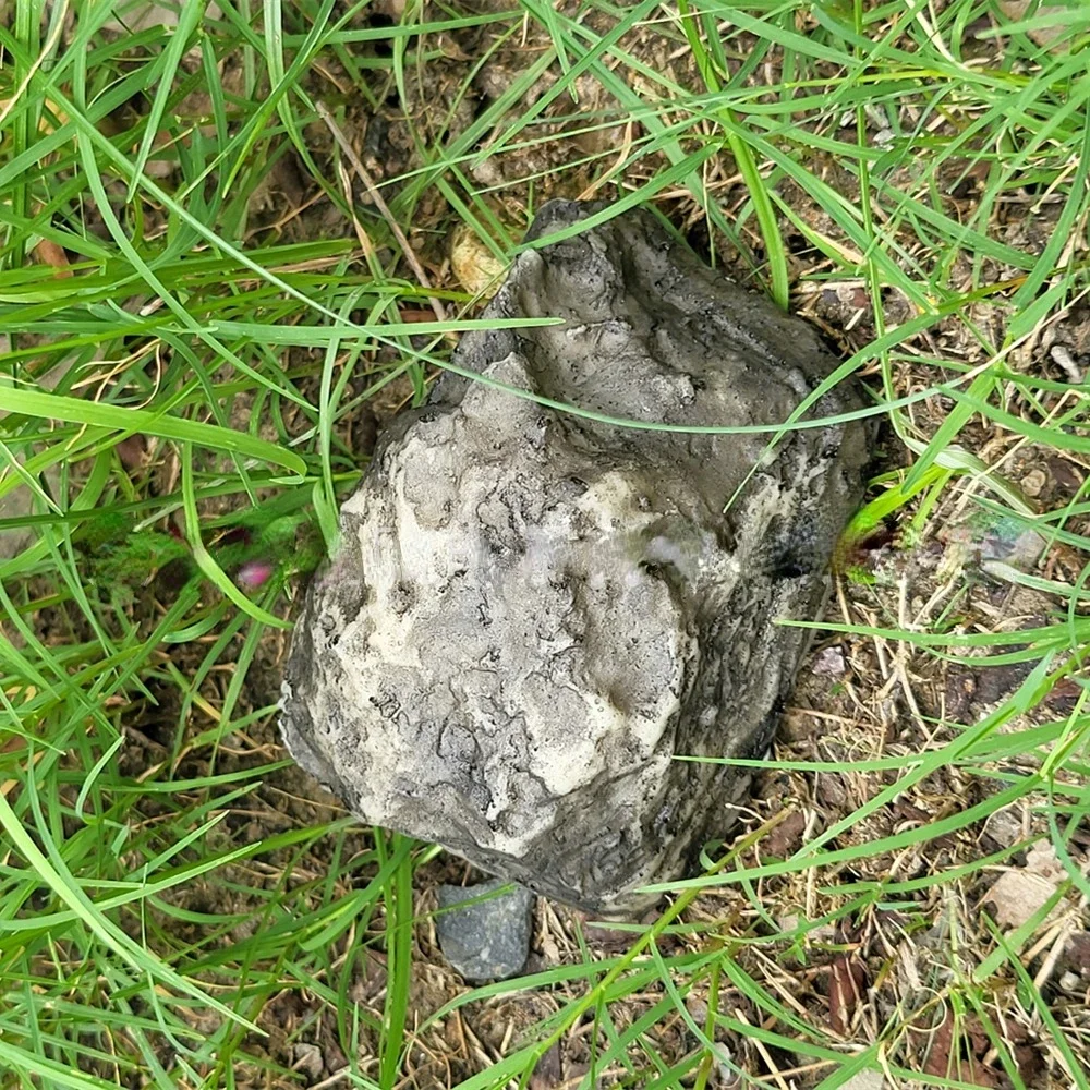 Garden Stone Hide a Spare Key Fake Rock Camouflage Stone Diversion Looks Like Real Stone Safe for Outdoor Yard, Geocaching