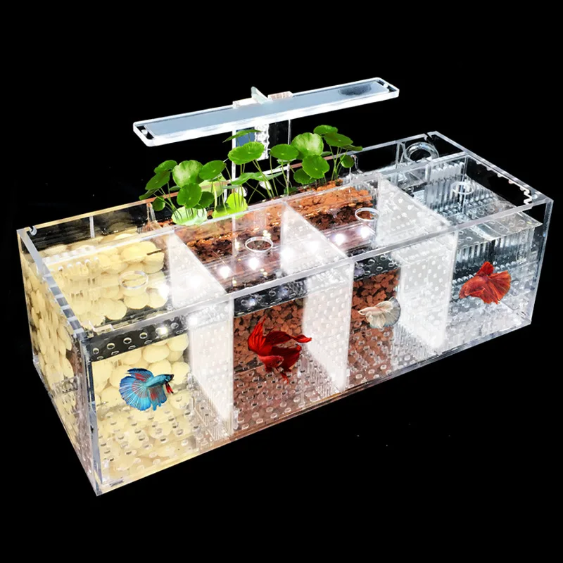 

Acrylic Isolation Fish Tank with Multiple Compartments Stacked and Transparent Breeding Box Goldfish Fighting Fish Viewing Tank