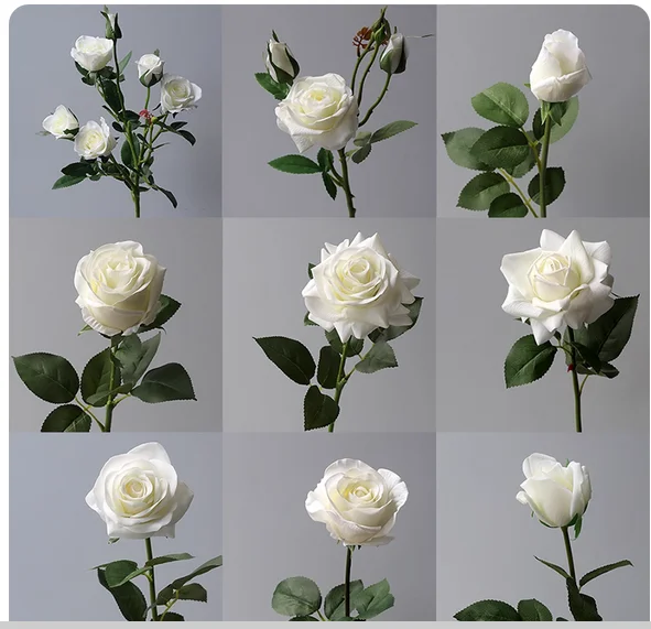Moisturizing white roses at home, sitting room table, silk flower fake flowers, photography, wedding celebration, holding flower