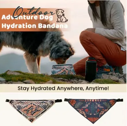 2-in-1 Reversible Dog Bandana Portable Lightweight Foldable Waterproof Dog Bowl For Outdoor Camping Hiking Travel Pet Food Bowl