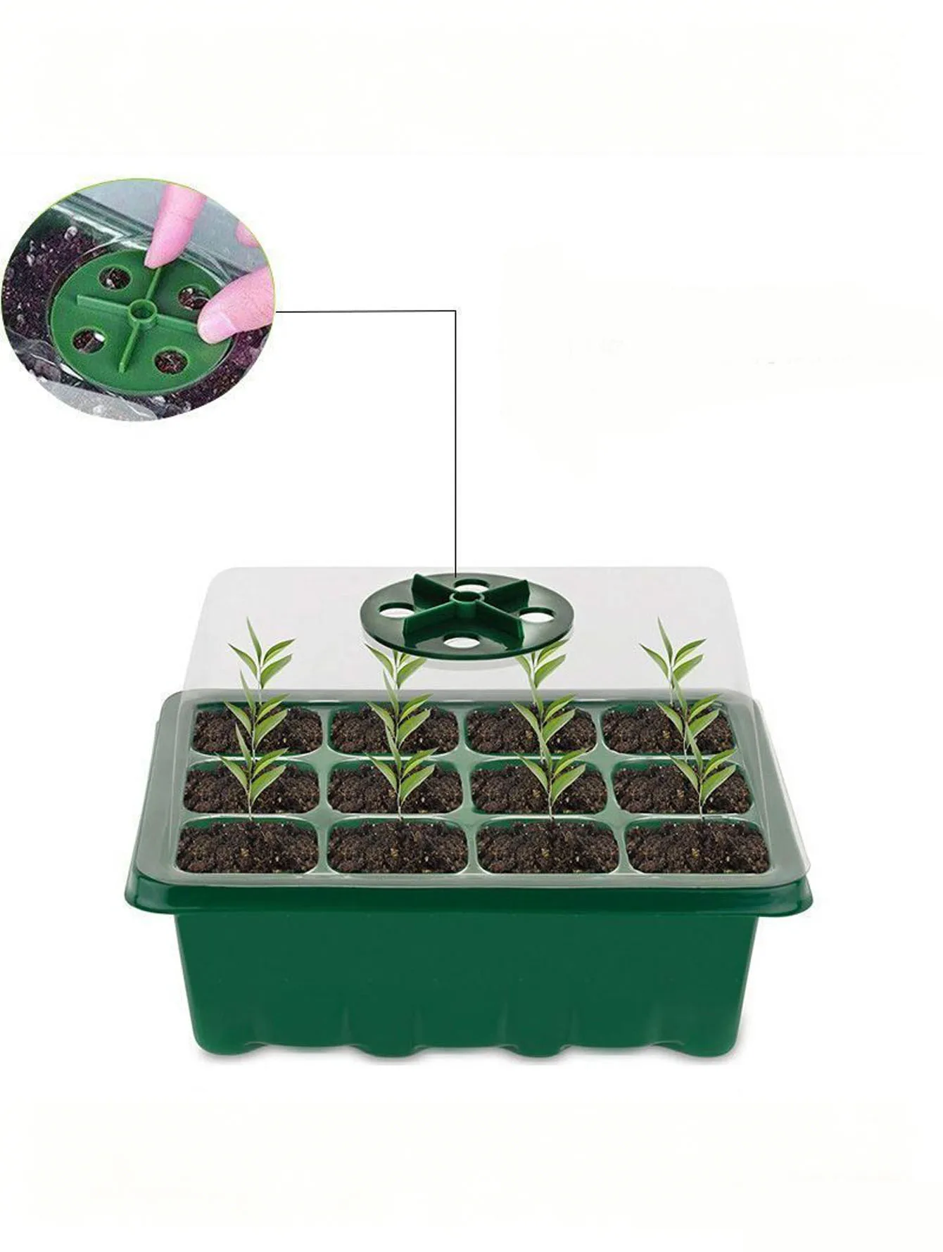 Bandeja para plántulas de 6/12 orificios, plástico grueso con orificios de drenaje. Ideal para el crecimiento de suculentas, uso en interiores/exteriores.