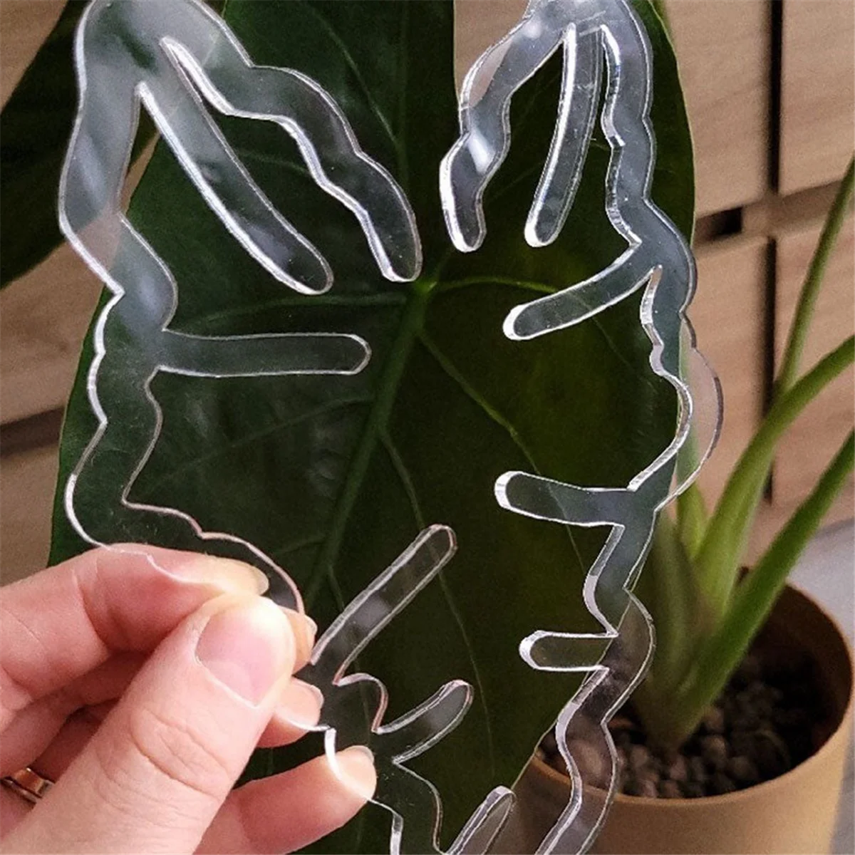 Support en plastique pour tige de plante, porte-tige de fleur, support de retenue de plante réutilisable, A, 1 pièce