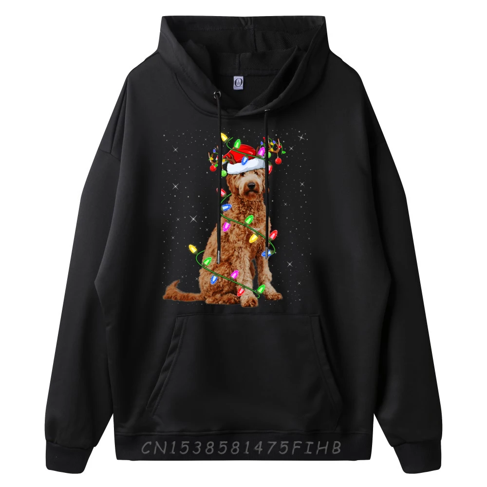 Xmas Holiday Lighting Santa Goldendoodle Dog Christmas Street Wear Hoodie Hoodie Man Cinco De Mayo