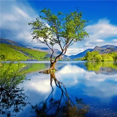 

Для Ford TAURUS 2015-2019 черная защитная пластина под двигателем, брызговик, крышка крыла, защита от брызговика