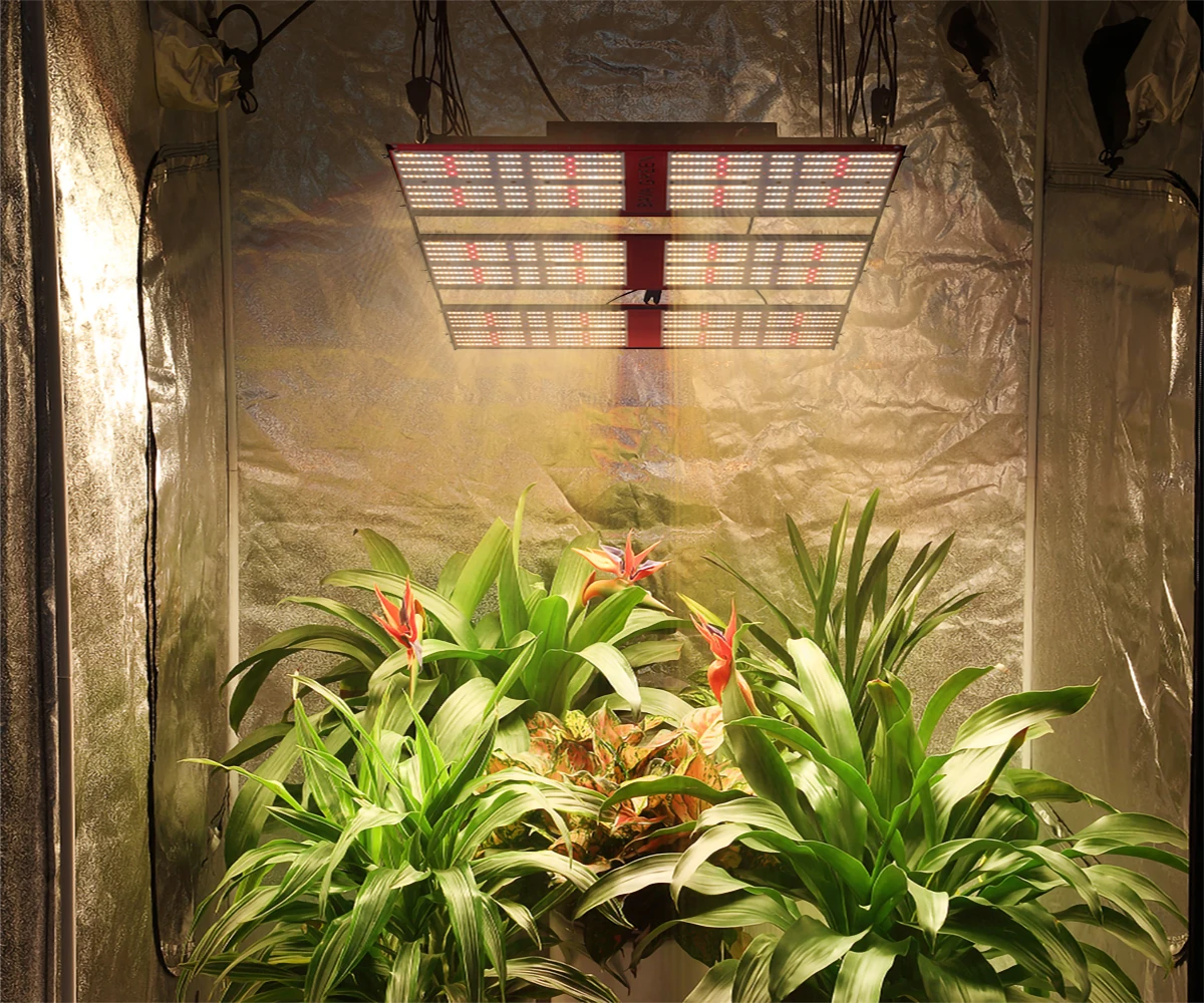 

Sunrise Sunset Hygger Programmable Freshwater Planted Aquascape 6500k Uv Led Flood Plant Aquarium Light 720 Watt Lm301h