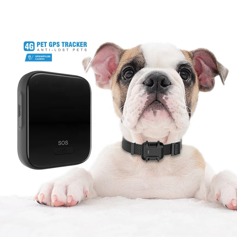 

4G 3G 2G SIM card support automatic answer a call GPS WIFI LBS real-time positioning IP67 waterproof pet gps tracker