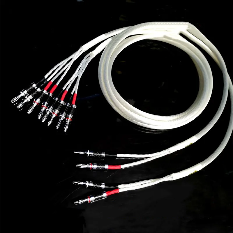 DI-001 5NOCC pure silver 2 out of 4 speaker cable hi-end tube amplifier double  partial tone Speaker cable pair