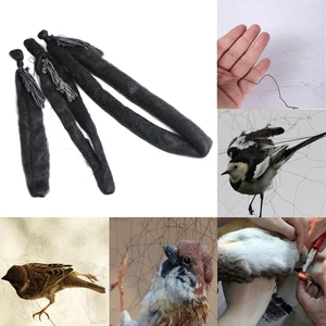 أفضل 7 فخ مبيعات لصيد الطيور - رقم 4