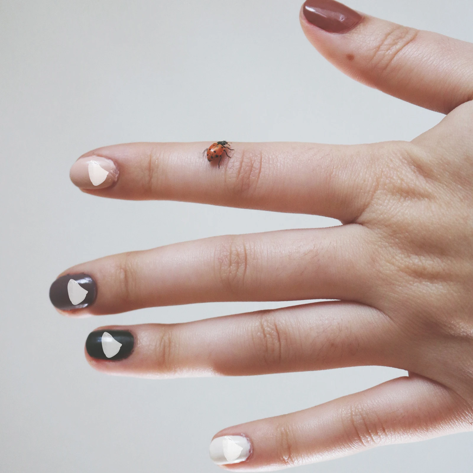 

NOLITOY Glass Chips Vase Filler Epoxy Resin Metallic Flakes for Nail Charms Beads Decor Accessories