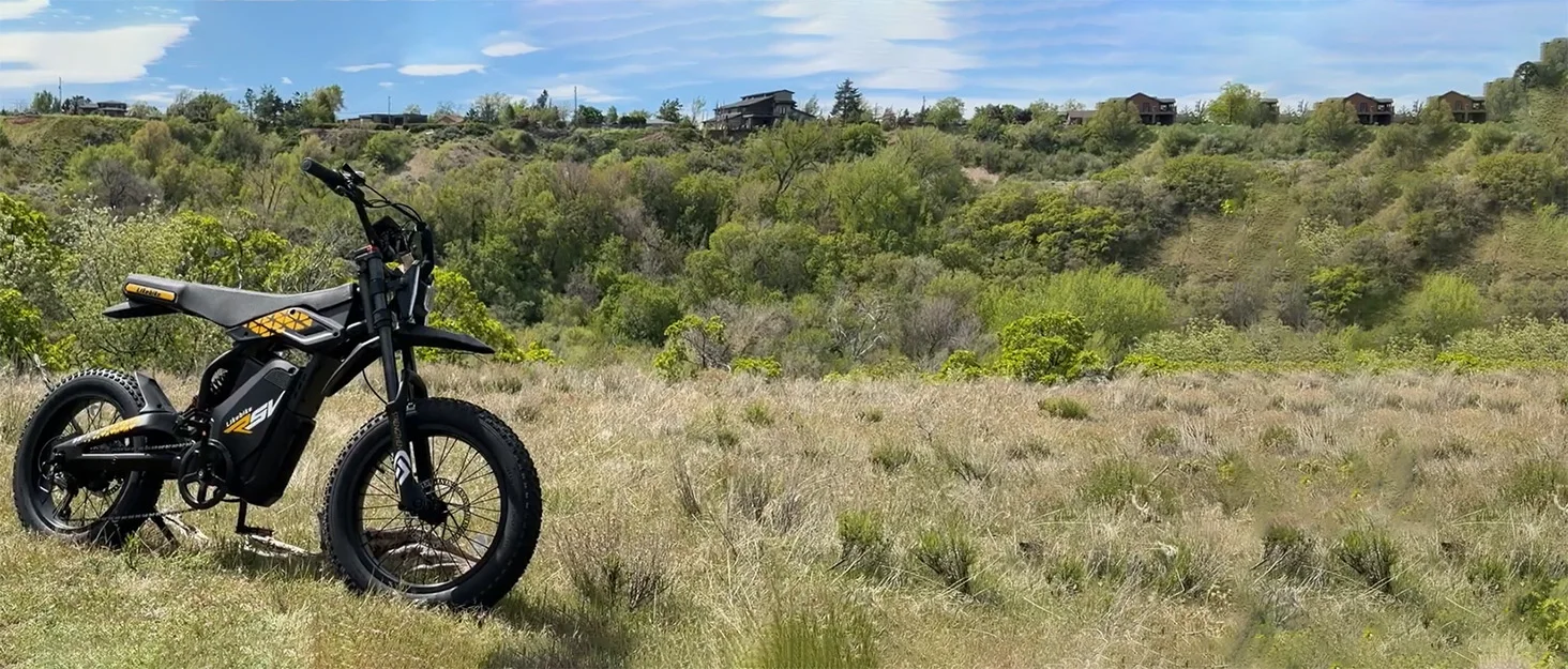 adult electric bicycle