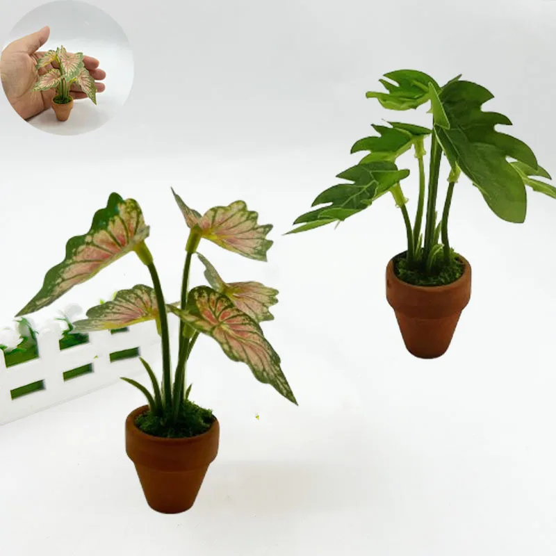 

Dollhouse Green Plants Mini Taro Turtle Back Green Potted Plants Props Shooting Model Miniature Scandinavian Style Decoration