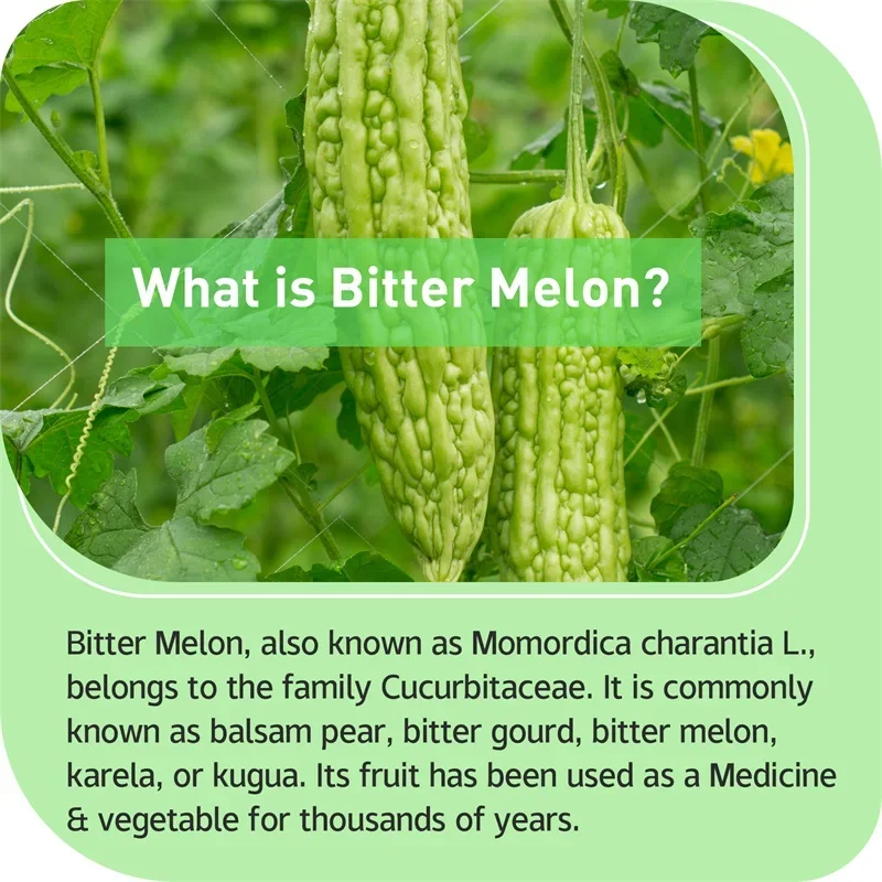 كبسولات البطيخ المر - إدارة الوزن، توازن السكر في الدم، تعزز الدورة الدموية، تعزز عملية التمثيل الغذائي، صحة الهضم والقلب #5