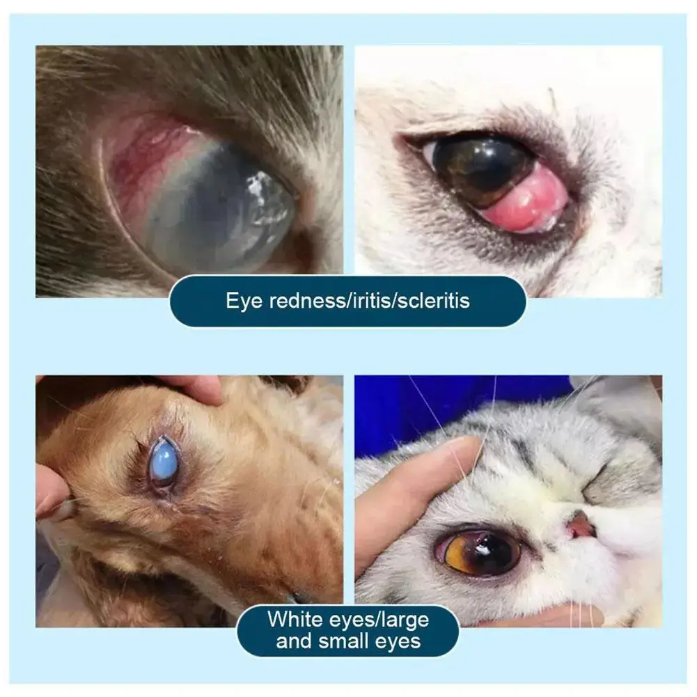 مرهم العين لالتهاب القرنية للحيوانات الأليفة