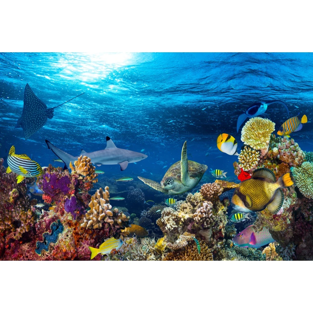 Underwater World Backdrop Unde - Aquarium Marine World ulasan dan harga