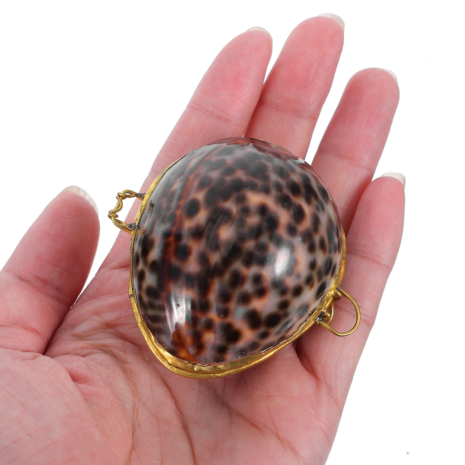 

Jewelry Box Sea Style Storage Case For Rings Earrings Necklaces Gift Packaging Organizer Sundries Holder Women Decorative