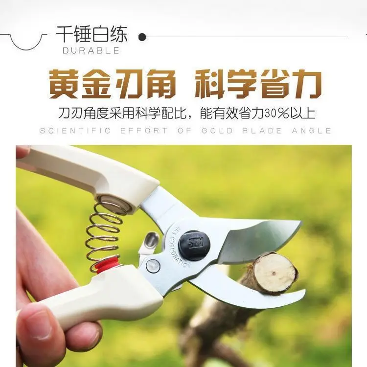 Fruit tree pruning and horticultural tools for trimming flowers and plants. Japanese imported pruning shears