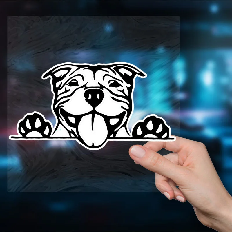 Make Your Car Stand Out with These EyeCatching Pitbull Bully Dog Reflective Car Stickers!