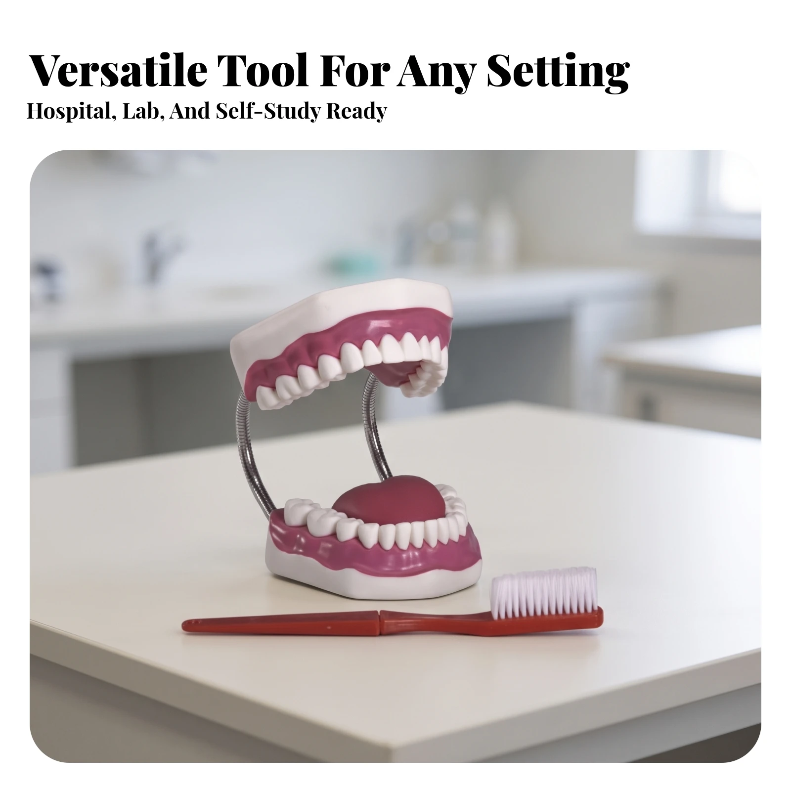 Oral Care Teaching Model Realistic Oral Model with Toothbrush Oral Hygiene Demonstration Aid Flexible Safe for Educators