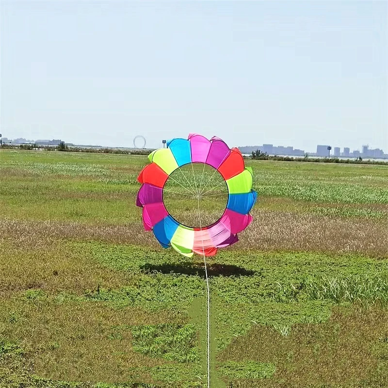 Free Shipping new kites Ring flying outdoor fun toys game kites show pendant Large kite flying pilot kite lifter octopus kite