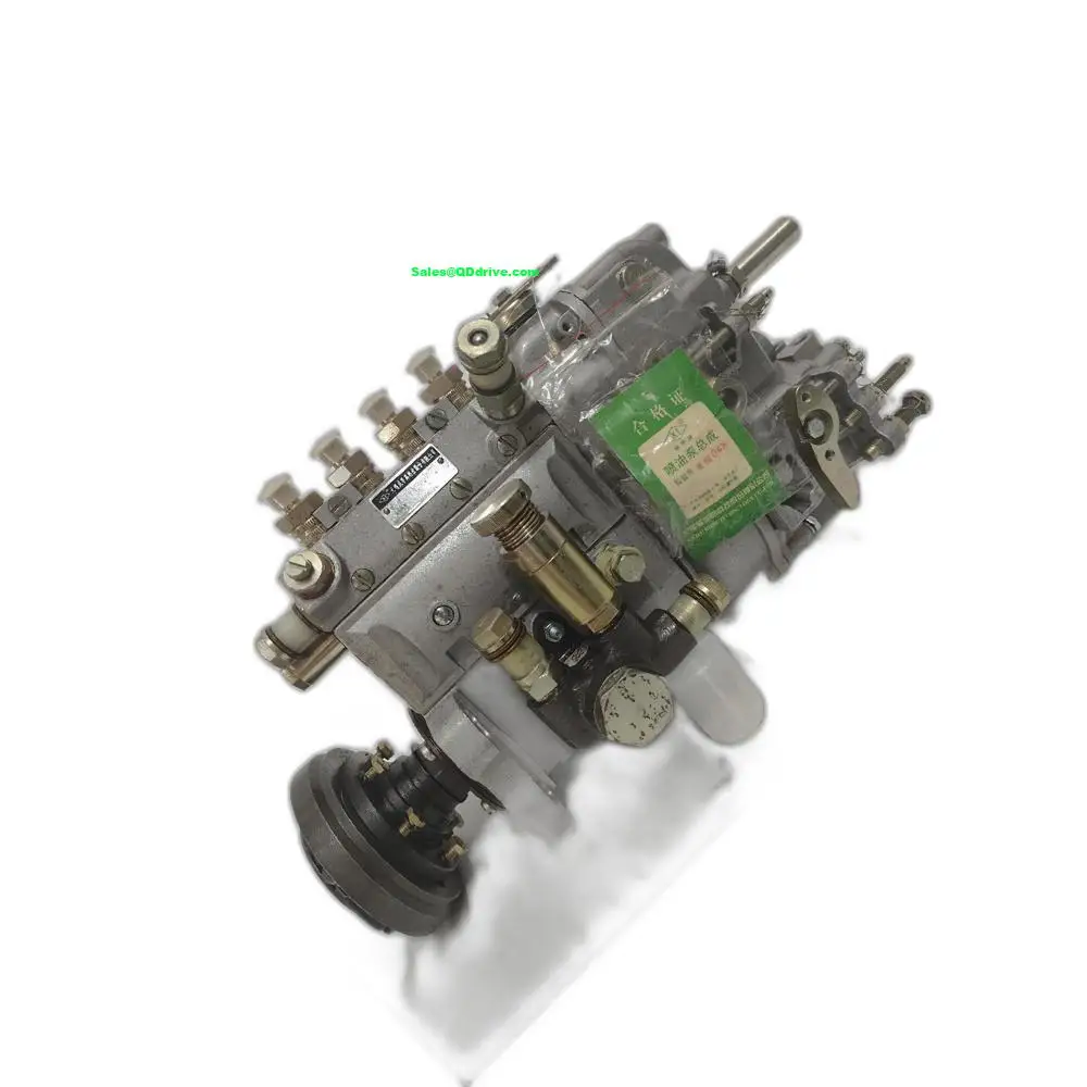

BHF4AW100011 Fuel Injection Pump Compatible with Yangchai 4102 Engine Parts for General Models