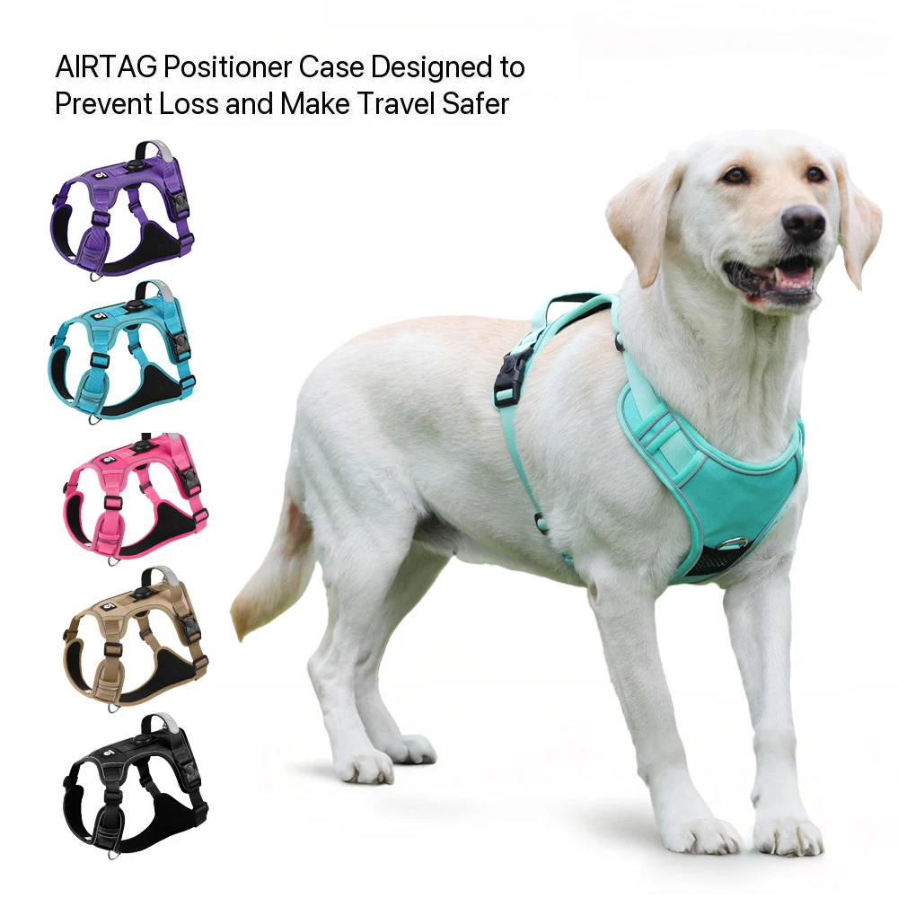 #31 New Dog Car Safety Harnesses Arrivals