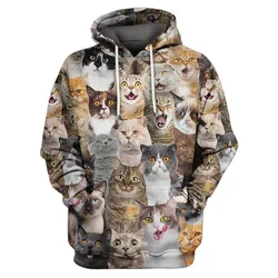 3D Print Funny Animal Cat Alpaca Graphic Hoodies For Men Women Casual Oversized Pullovers Sport Tracksuit Mens Sweatshirt Tops