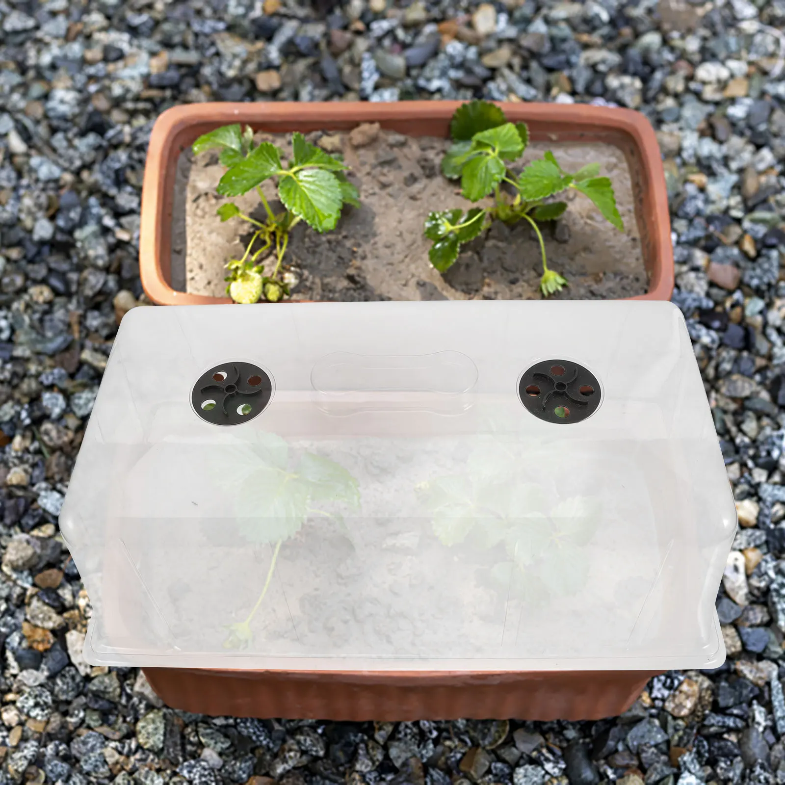 

Plants Germination Case Cover Thicken Plastic Garden Nursery Pot Lightweight Durable Plant Tray Dome Mini Growing Tool Gardening