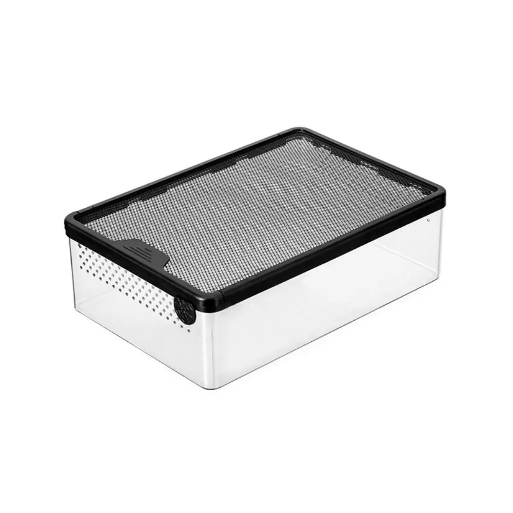 

Practical Transparent Reptile Feeding Box Breathable Plastic Lizard Habitat Terrarium Metal Anti Escape Spider Breeding Box Frog