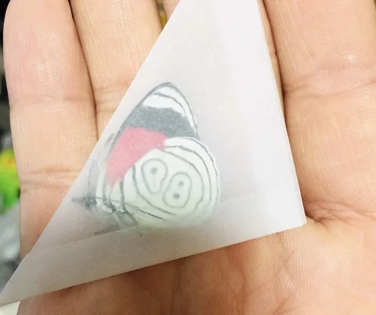 

1PCS Real Butterfly Specimens Without Spreading Wings DIY Practice Making Materials