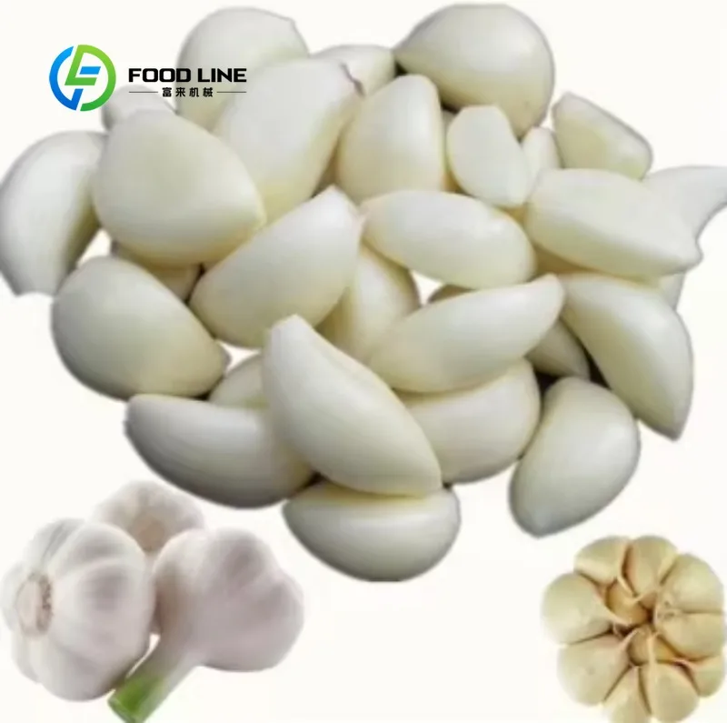 Customized size Automatic garlic sorting, cutting, cleaning and separation production line, garlic peeling machine