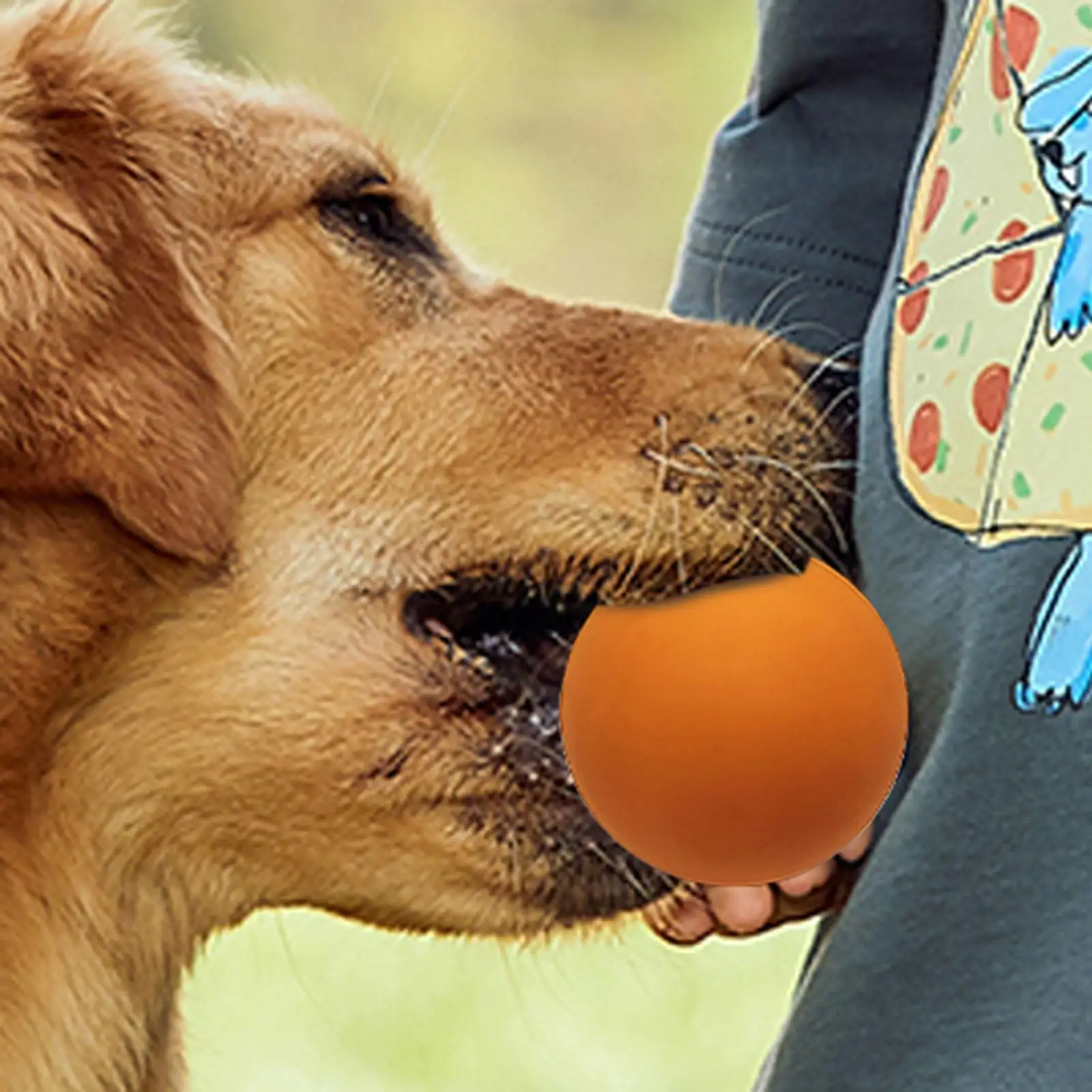 

Мячи для сквоша, профессиональный высокоэластичный резиновый мяч для сквоша, высокая видимость, резиновый полый мяч, профессиональный мяч для сквоша