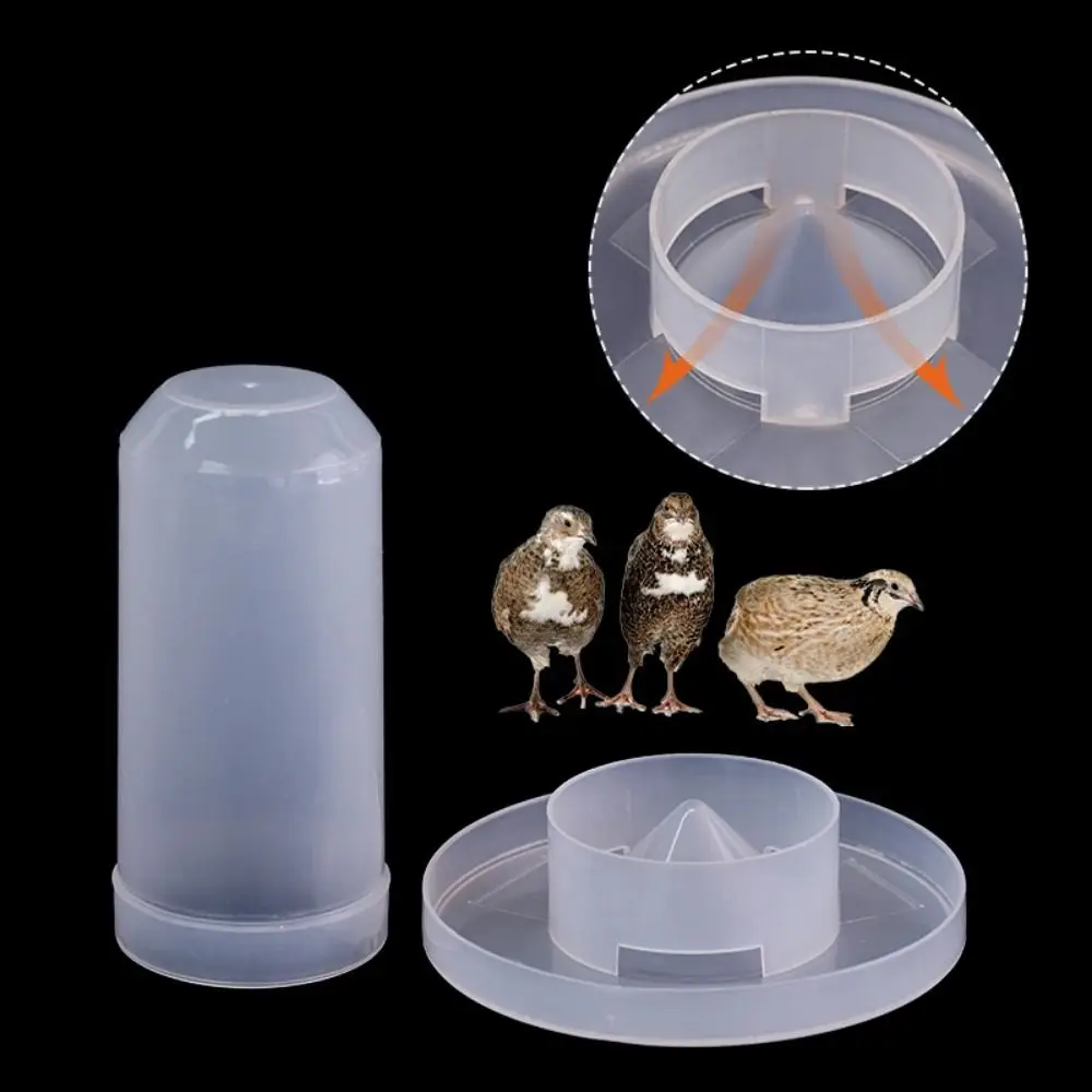 Automatic Bird Drinking Fountain Transparent Plastic Pigeon Feeder Removable Chicken Food Containter