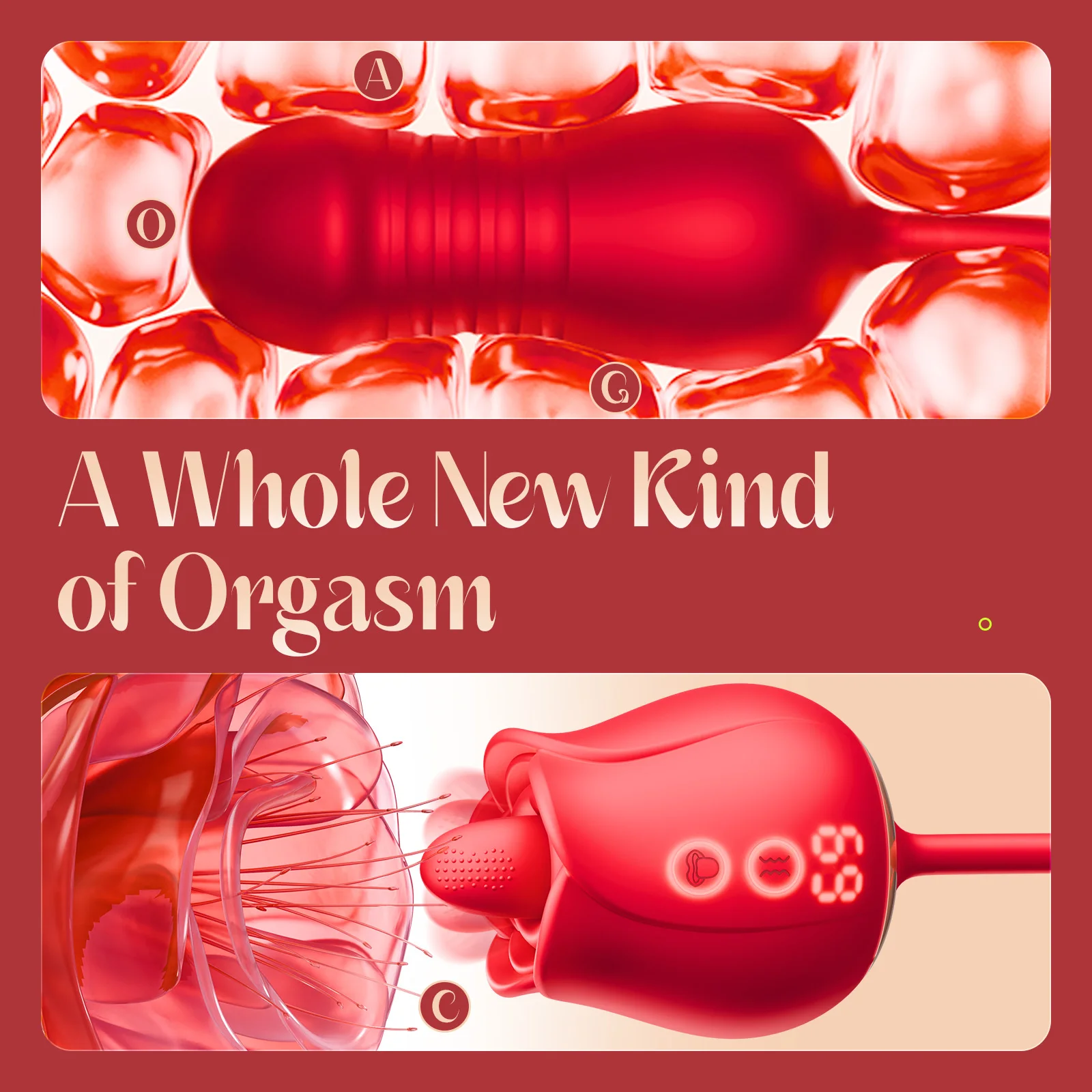 Rose Toys NSFW GIF: Real-World Experience with the 2-in-1 Rose-shaped  vibrator That Changed My Intimate Life