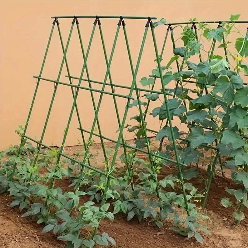 18 marcos de soporte para plantas trepadoras: varillas de soporte de vid para tomates, uvas, pepinos y maracuyá
