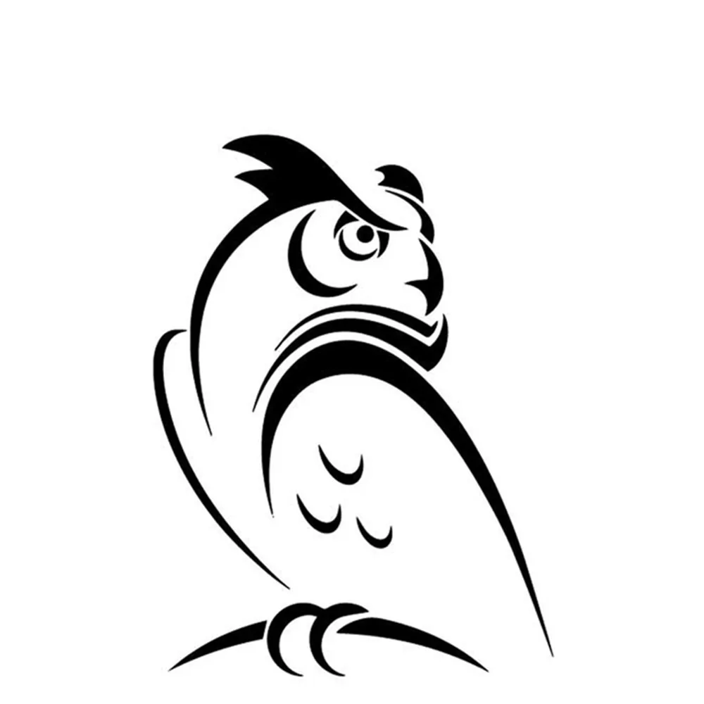 

Wise Owl Big Eyes Vinyl Car Sticker Waterproof UV Resistant Decal for Auto Door Window Night Animal Theme Universal Fit