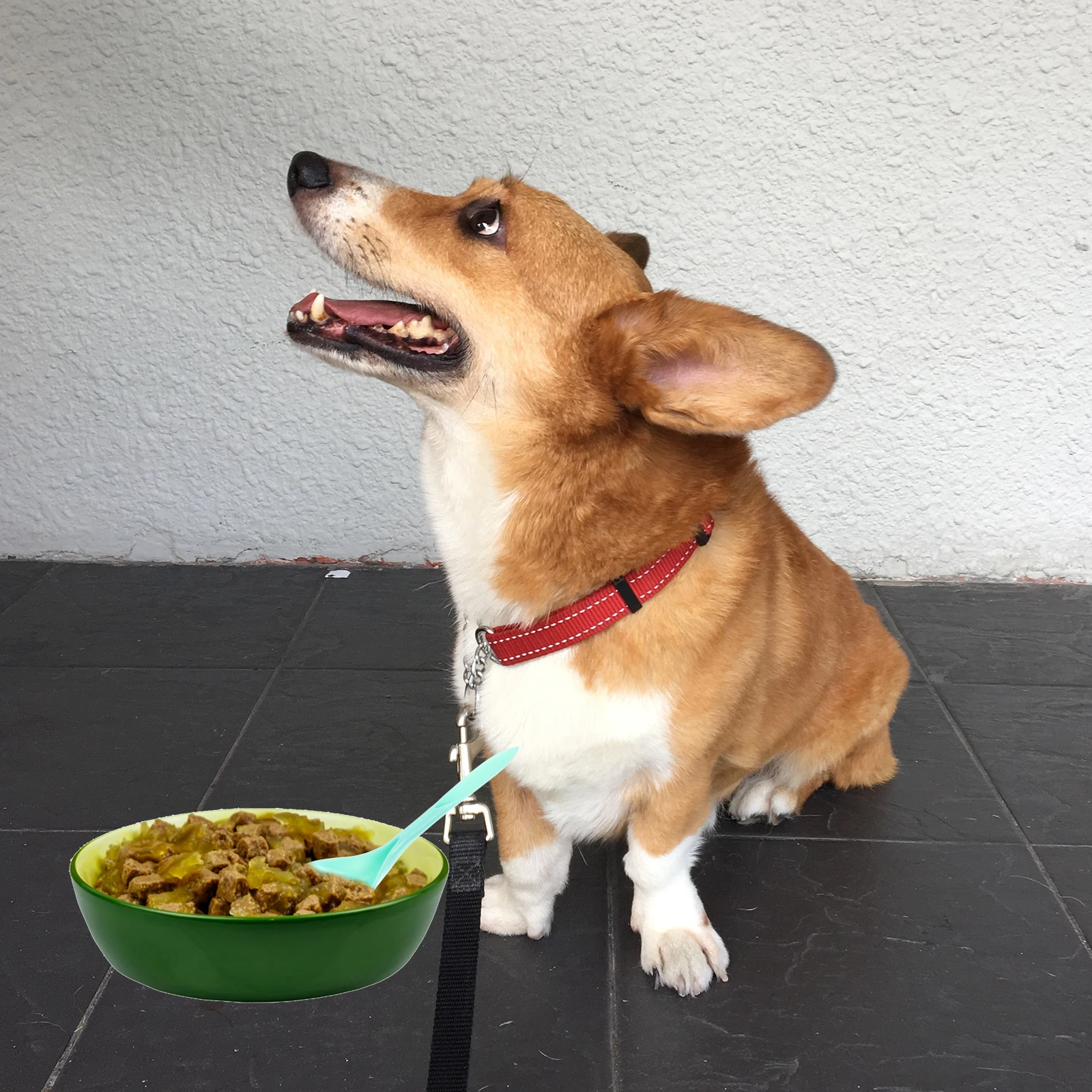 

4Pcs Pet Feeding Spoons Multi-Function Can Openers Long Handle Convenient for Cats Dogs Household Mixing Spoon Durable Plastic