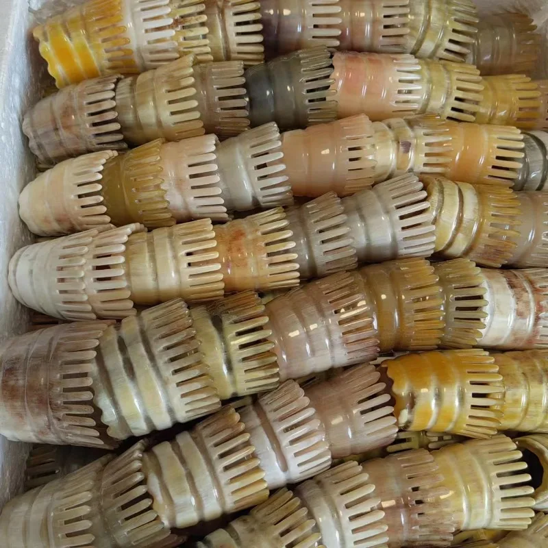 Natural Ox Horn Head Massage Comb Ergonomic Tip Design Scalp Scraping Acupoint Massager For Daily Hair Care