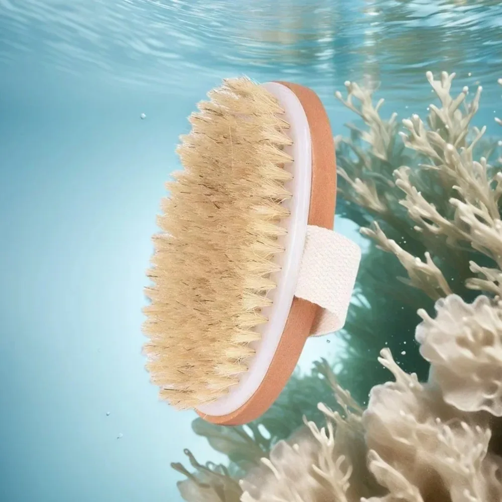 Thumbnail 3 - #37 New Body Exfoliating Brushes Arrivals