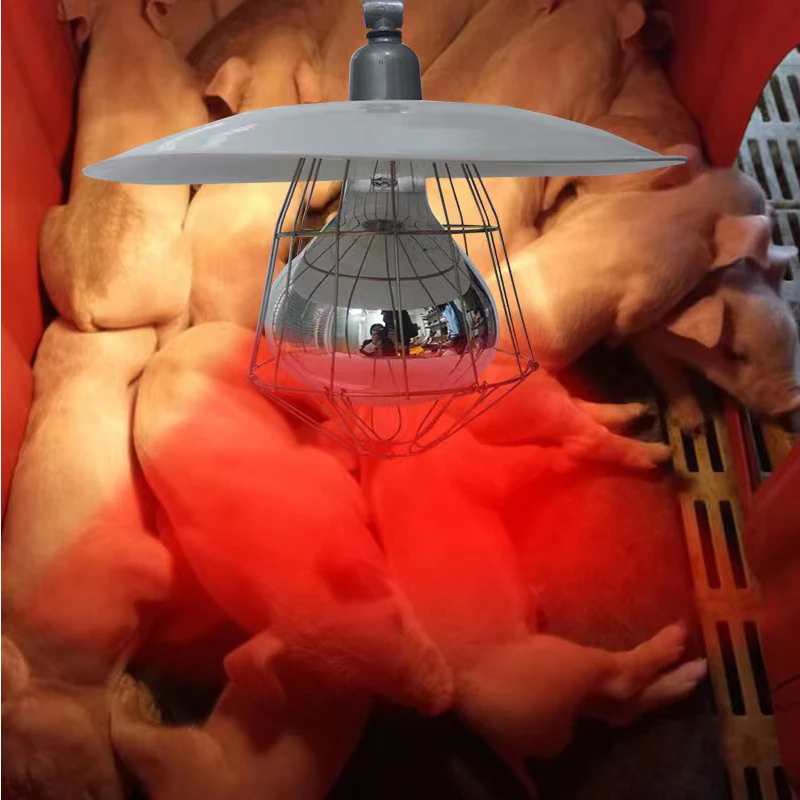 4-piece set Livestock Incubator Box Heating Lamp Little Pig Cage Pet Lizard Warmer Light Pet Warming Lamp