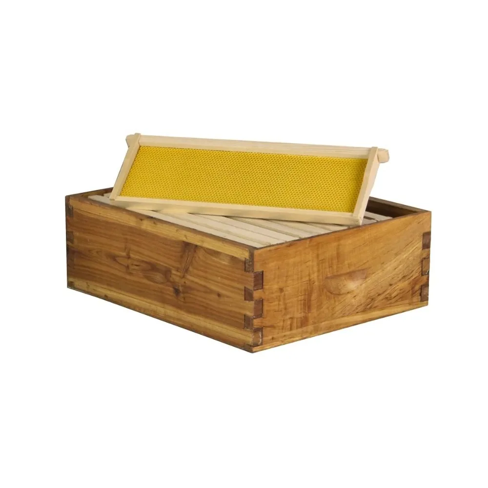 Caja Super Mediana de 10 Cuadros – Madera de Abeto Encerada Langstroth Honey Super con Juntas de Cola de Golondrina – Lista para Usar