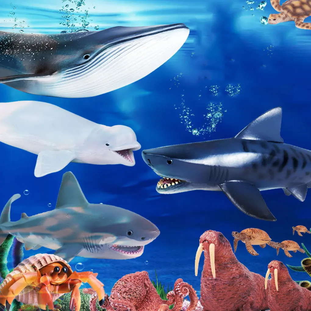 

Marine Life Shark And Shark Toy Educational Toy Shark Marine Animal Simulation Toy Realistic Shark Marine Toys