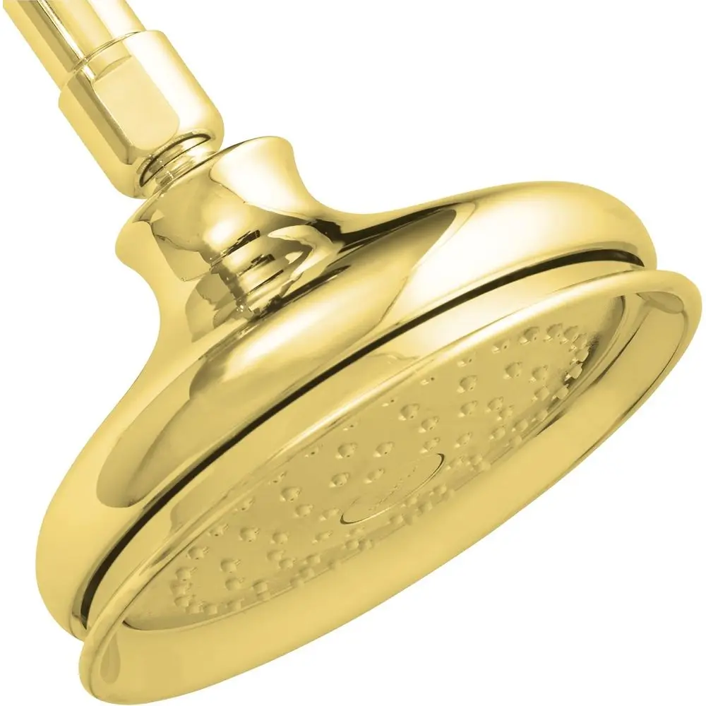 

Single-Function Shower with Vibrant Polished Brass Finish
