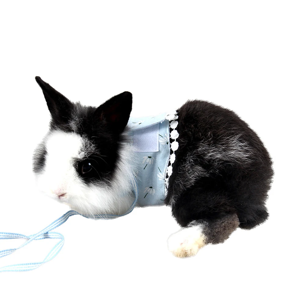 

Adjustable Small Pet Harness Traction Rope For Rabbit Kitten Puppy Guinea Pig Squirrel Hedgehog Chinchilla Blue